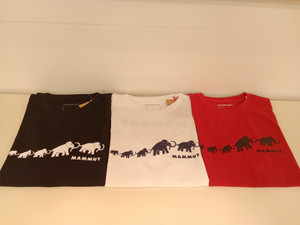 Kimg20260408_164834929 Kimg20260408_164834929