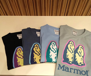Kimg20260708_121329992 マーモット柄の子供用Tシャツ