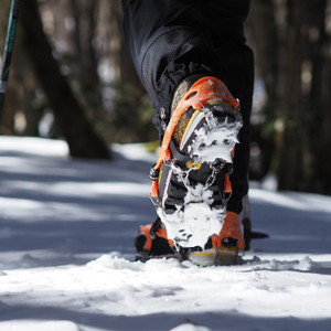 2024_01_23_2_51_31_p2224457_1