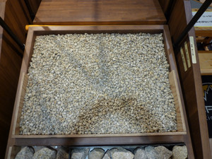 Photo_4