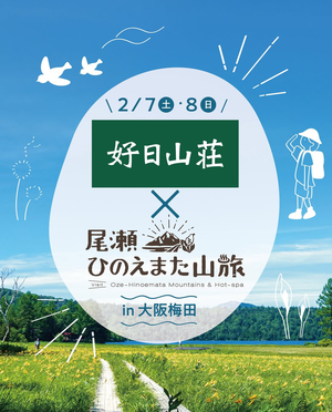 Screenshot_202602081328082