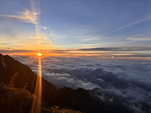 Img_7222 Img_7222