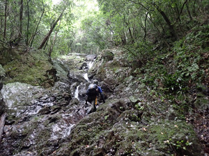P7270051