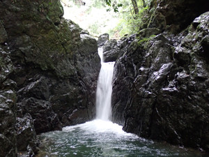 水無瀬川・山吹渓谷に沢登りへ行ってきました