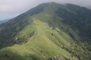 Img_0970