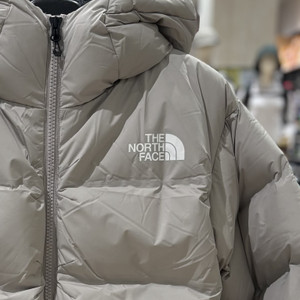 Img_6887_20251101t01_35_52319 Img_6887_20251101t01_35_52319