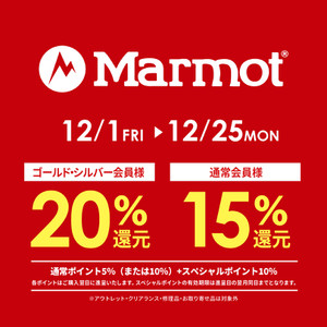 2312_marmot