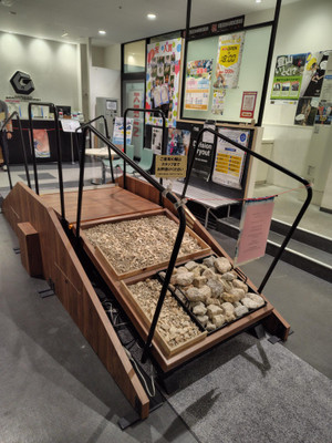 Shared_image Shared_image