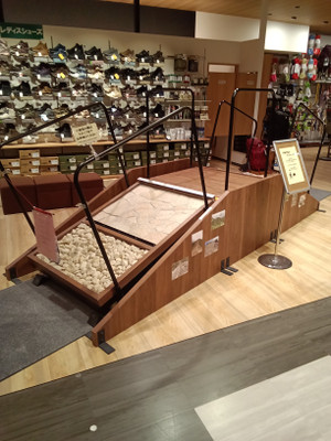 Kimg20260113_162932067