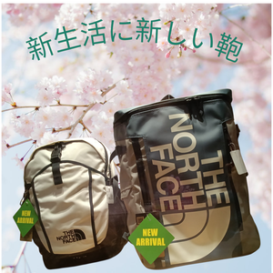 Kimg20260217_1247093071