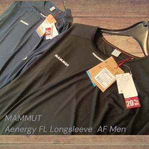 Kimg20260312_1244319861