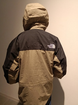 ノースフェイス（THE NORTH FACE）のマウンテンジャケットを着用した人の後ろ姿（バックスタイル）のクローズアップです。