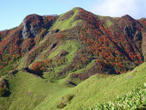 Dsc02649