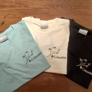 Kimg20260222_114658982