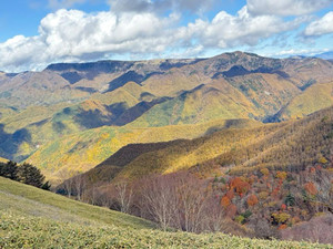 Img_20251111_194202_328