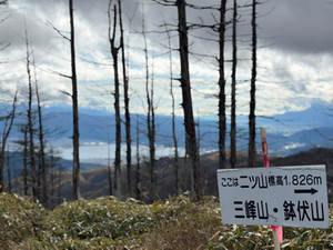 Img_20251111_194206_307