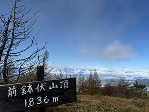 Img_20251111_194224_143