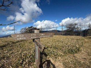 Img_20251111_194228_658