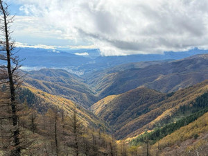 Img_20251111_194232_396