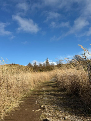 Img_20251111_194235_196