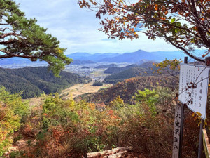 Img_20251113_190150_367