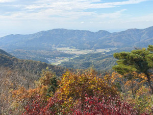 Img_20251113_190153_754