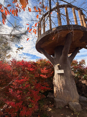 Img_20251113_190158_637