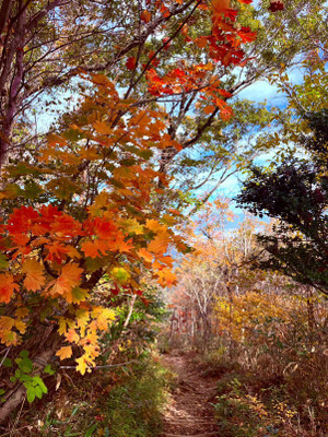 Img_20251113_190202_181