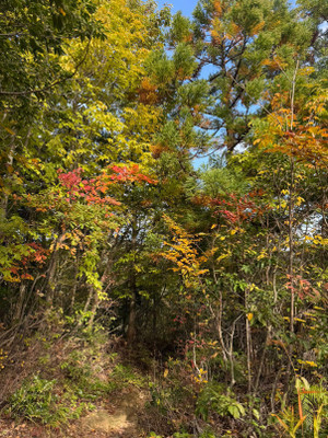 Img_20251113_190210_100