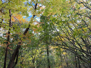 Img_20251113_190212_874