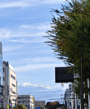 Img_20251116_120841_2