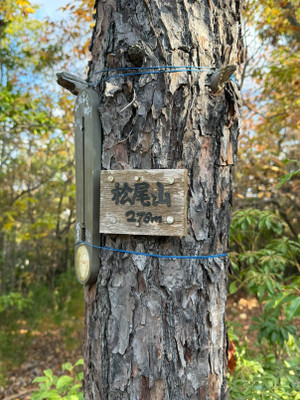 Img_20251202_180102_253