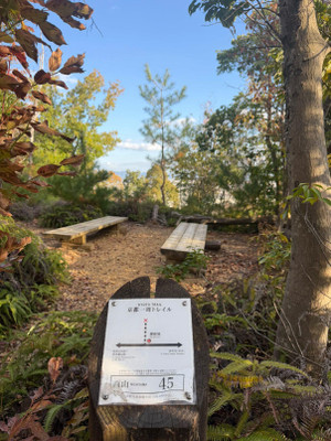 Img_20251202_180111_507