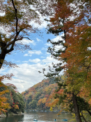 Img_20251202_180115_903