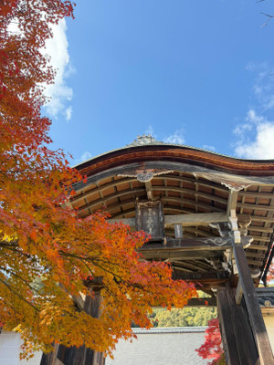 Img_20251202_180119_015