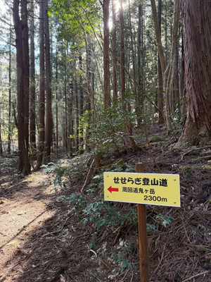 651559989_4916561175236968_11492800