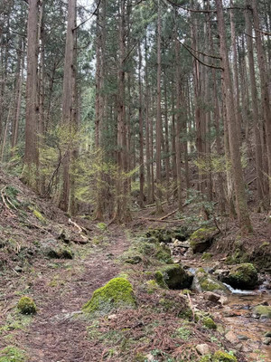 659928843_2183351369105581_18533341