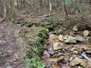 661689862_1230036079119146_51091542