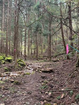 662175124_1472401301234445_27433107