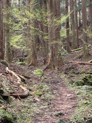 663784185_968585019028973_176307036