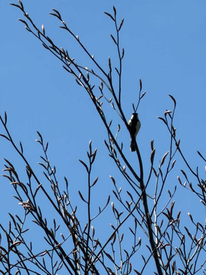 649141628_956725710174024_107032063