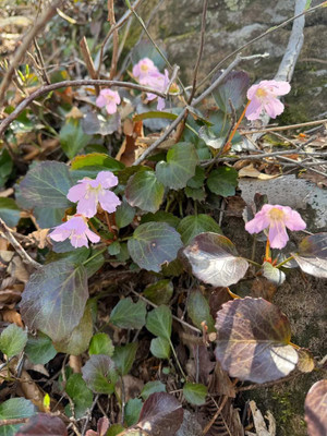 670870931_891109373958441_246536281 670870931_891109373958441_246536281