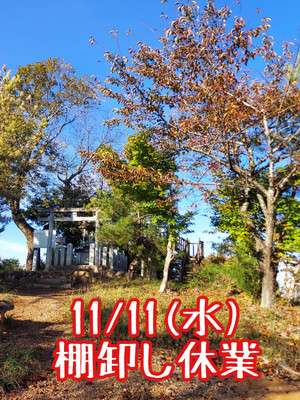 11月11日（水）棚卸し休業