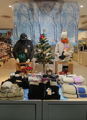 Kimg20251210_153428435_2 Kimg20251210_153428435_2