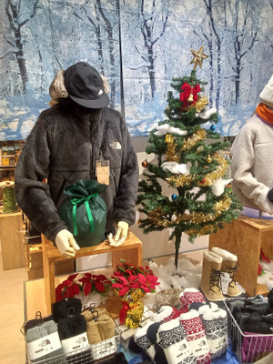 Kimg20251210_153510007 Kimg20251210_153510007