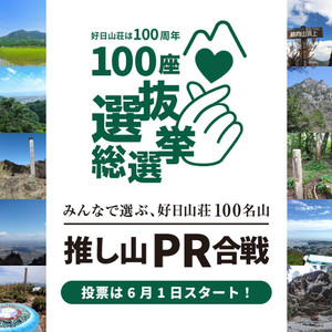 100pr1080_3