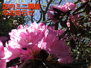 Qilx5abxphr8evn1747089075_174708914