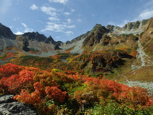Dscf7802