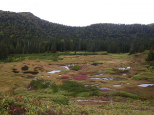 Imgp8525