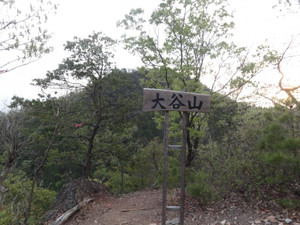 Dsc06601